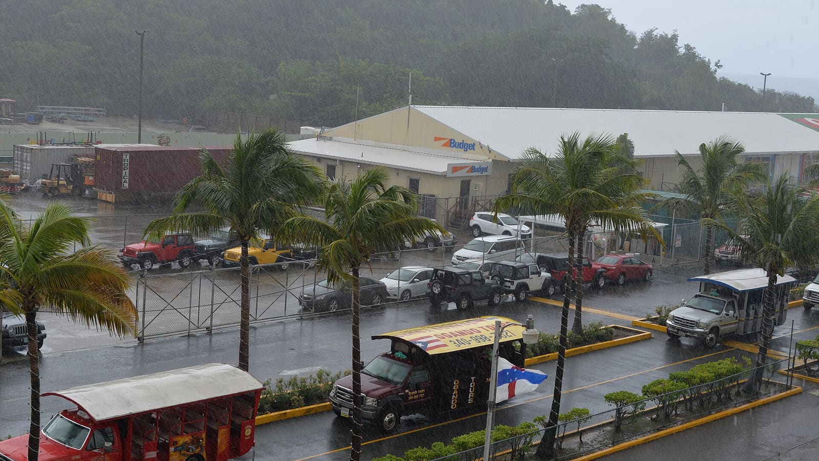 Safari taxis and palm trees along the road at Havensight, St. Thomas